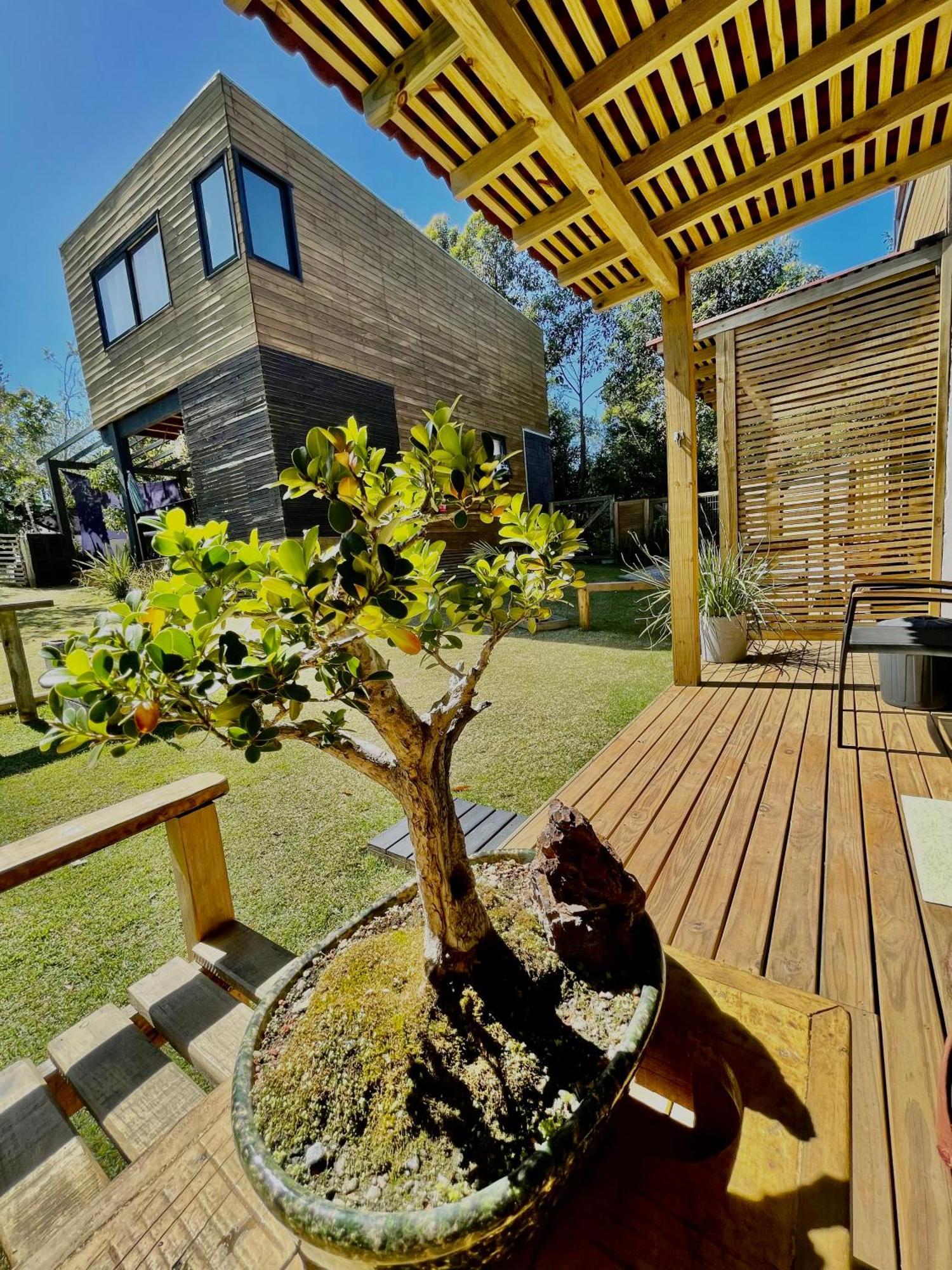 Rosa Lodge Lofts Praia do Rosa Kültér fotó